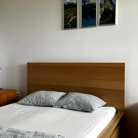 Msc Mountain View * Zakopane